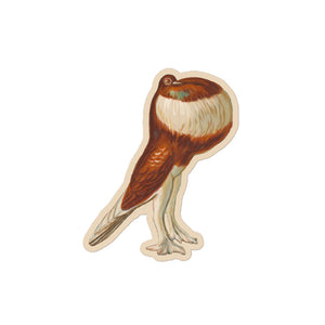 Sticker of a drawing of a pouter pigeon 4 inch by 4 inch in size.