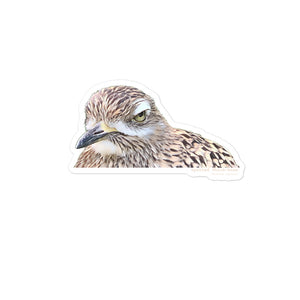 Spotted Thick-knee Sticker