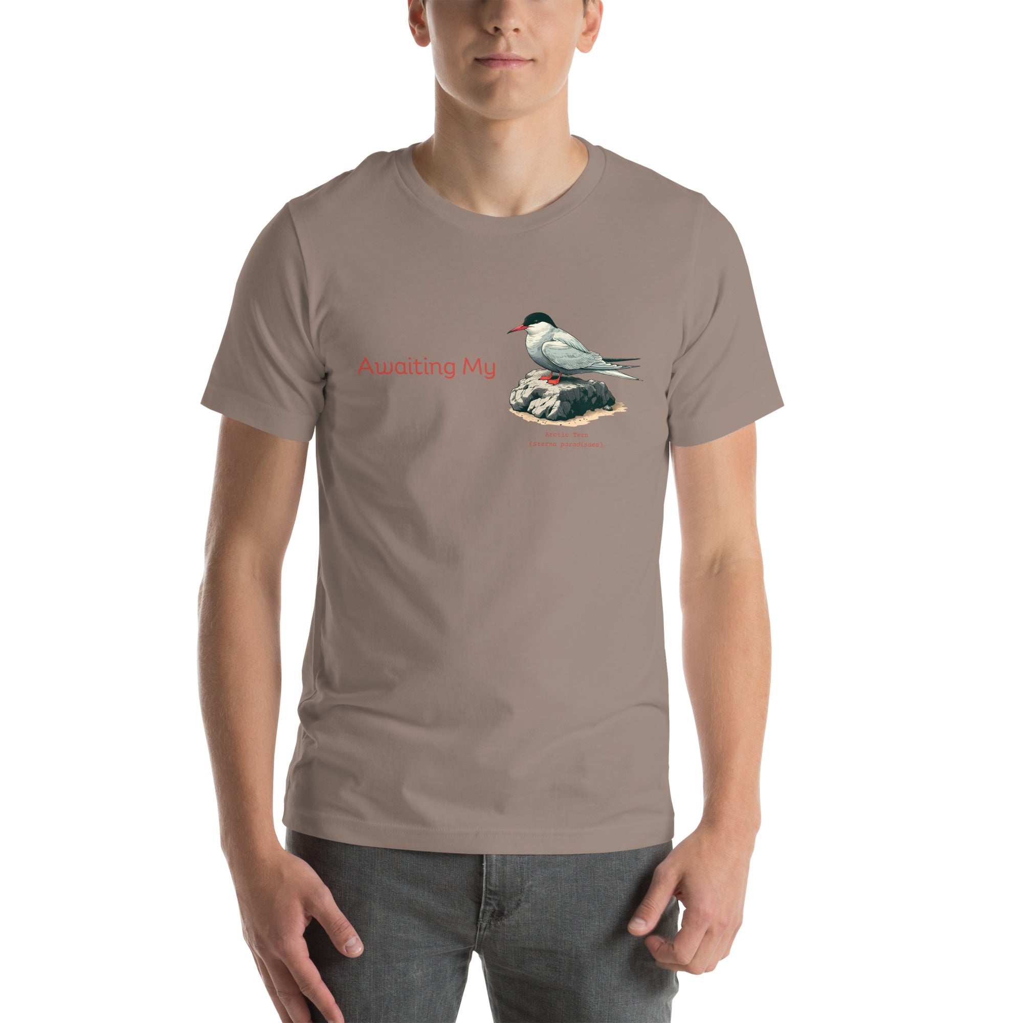 Taupe unisex crew neck t-shirt with a graphic of an Arctic Tern on a rock, and the words "Awaiting My" next to it in a fun pun. The words Arctic Tern and the scientific name of Sterna Paradisaea are below the bird. Worn by a man.