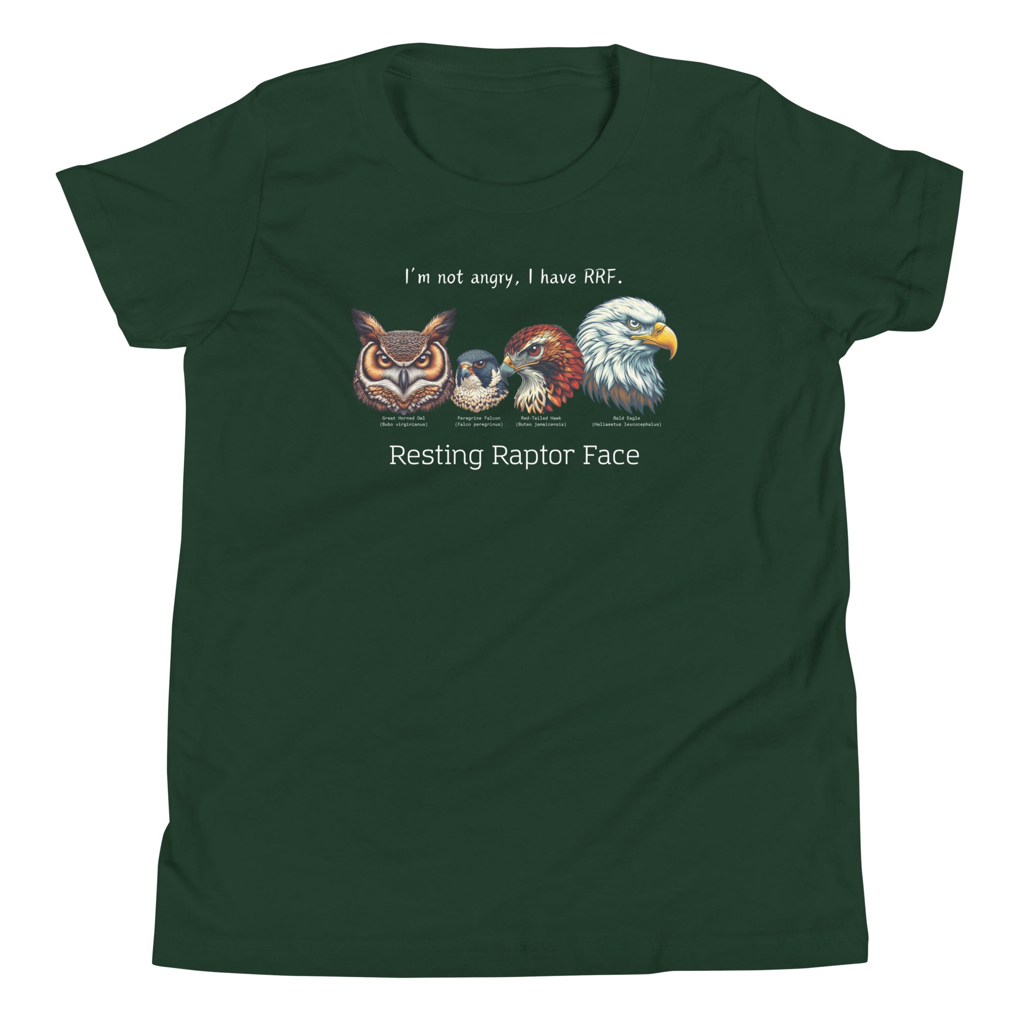 A forest green kid's bird shirt with a great horned owl, a peregrine falcon, a red-tailed hawk and a bald eagle. The shirt has text that says, I'm not angry, I have RRF. Resting Raptor Face.