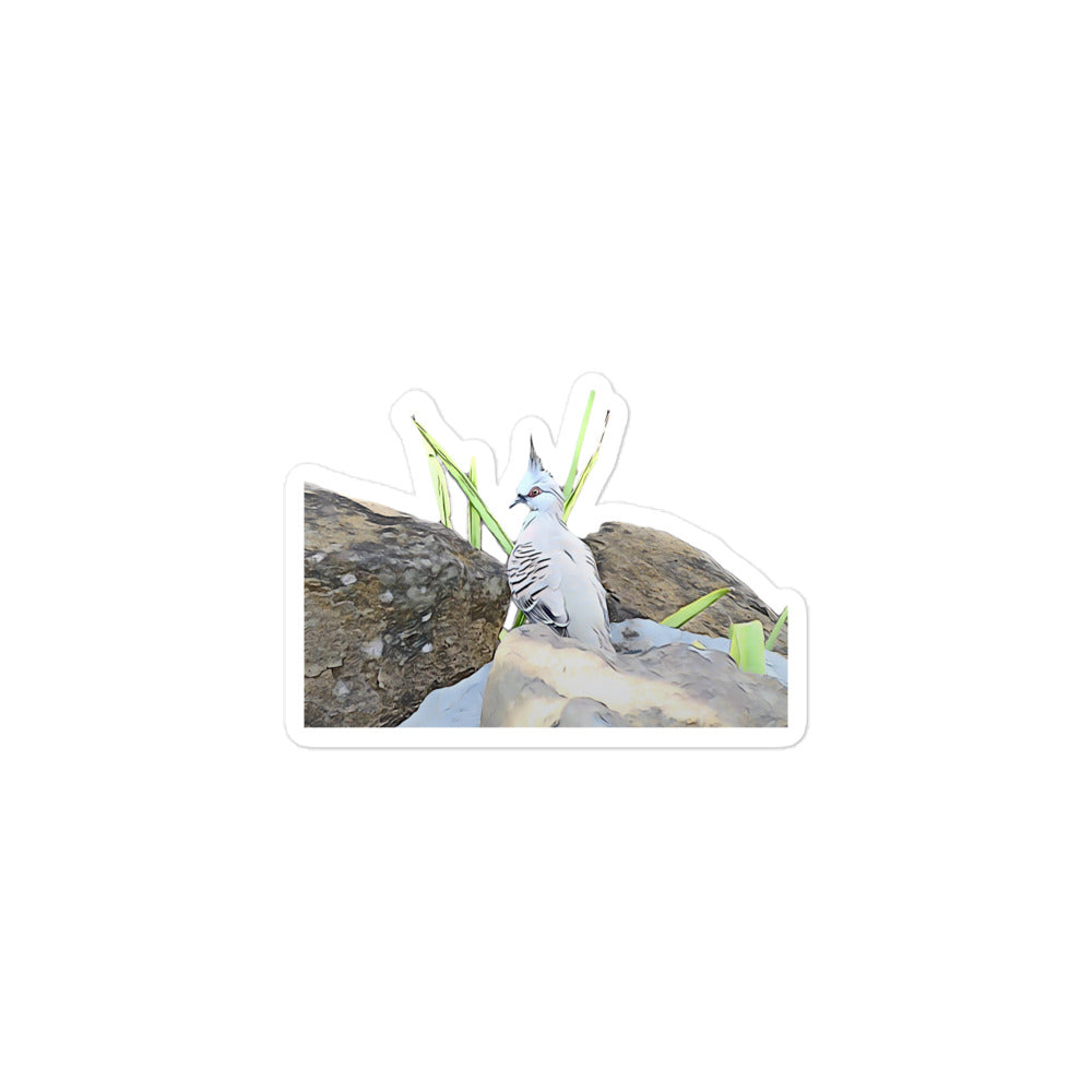 Sticker with an illustrated picture crested pigeon bird amongst some grass and rocks, on a dark blue background.