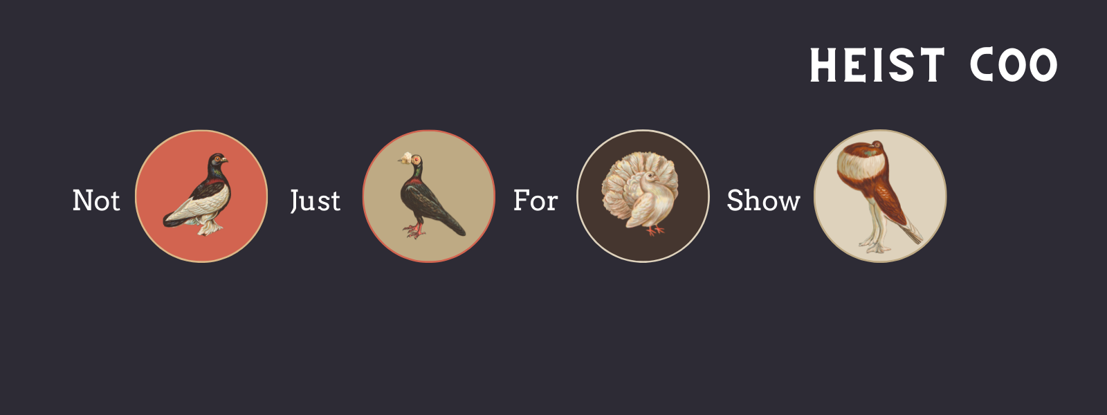 Illustrations of show pigeons, each in their own colored circle.