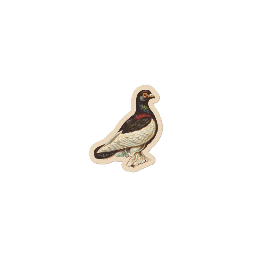 Sticker of a drawing of a tumbler pigeon 3 inch by 3 inch in size.
