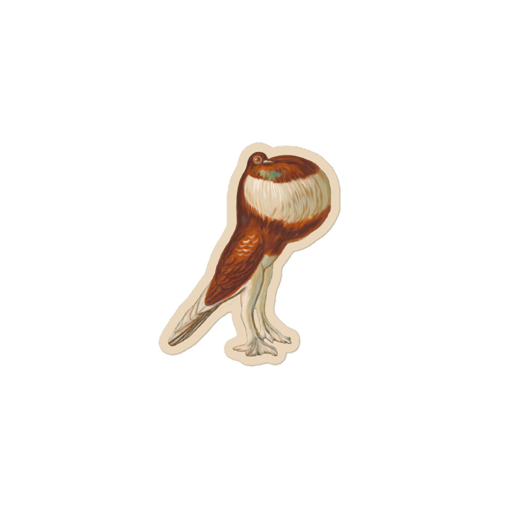 Sticker of a drawing of a pouter pigeon 3 inch by 3 inch in size.