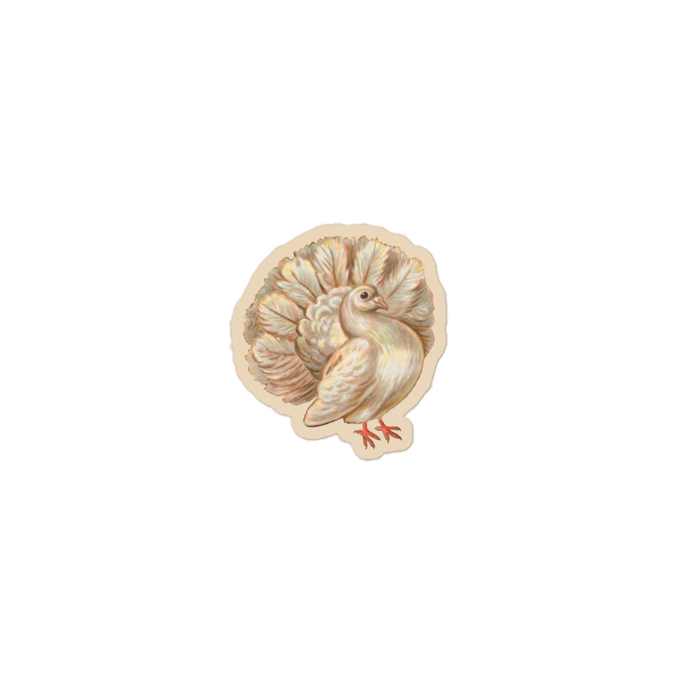 Sticker of a drawing of a fan tail pigeon 3 inch by 3 inch in size.