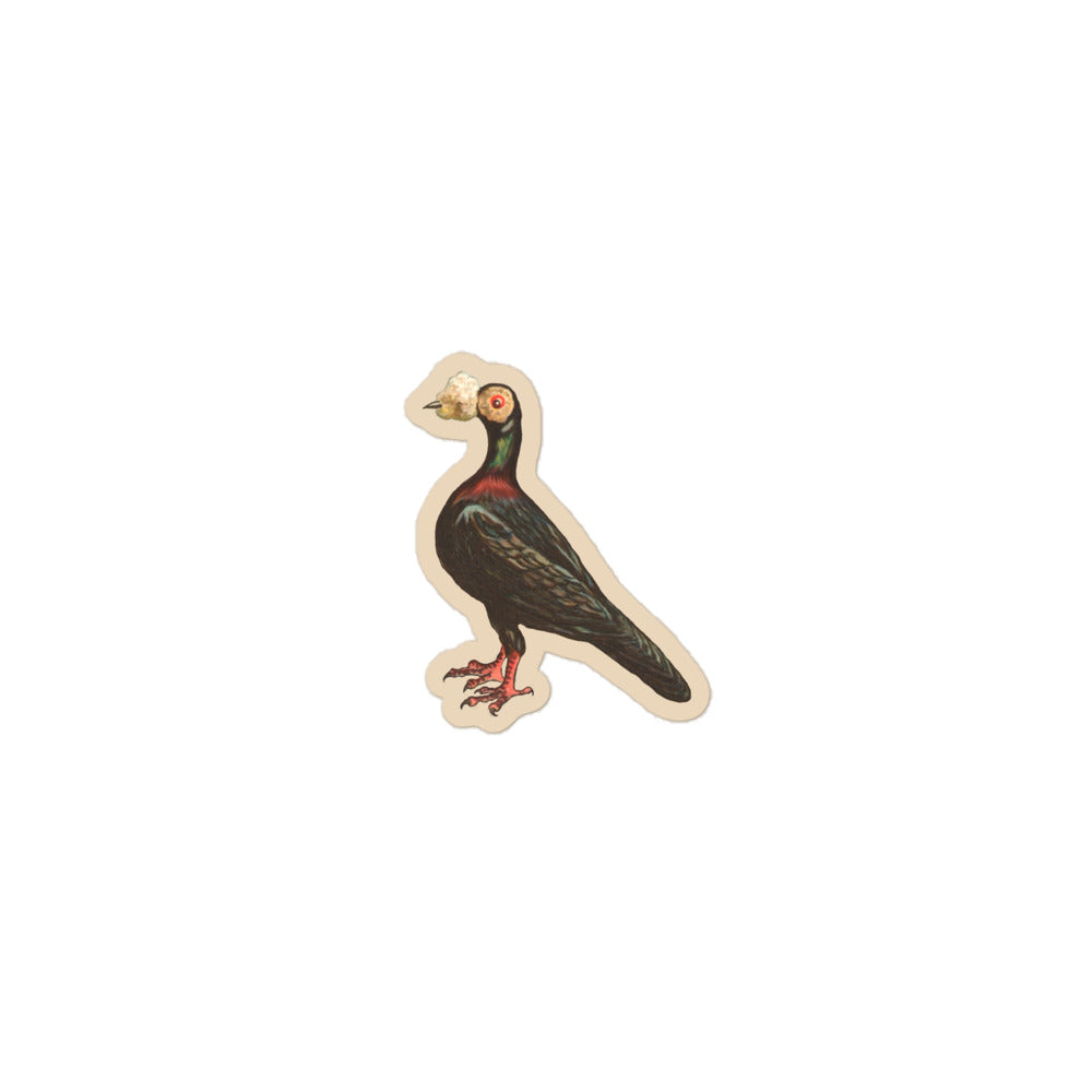 Drawing of a messenger pigeon 3 inch by 3 inch in size.