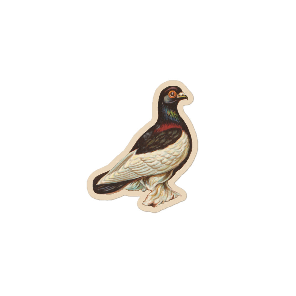 Sticker of a drawing of a tumbler pigeon 3 inch by 3 inch in size.