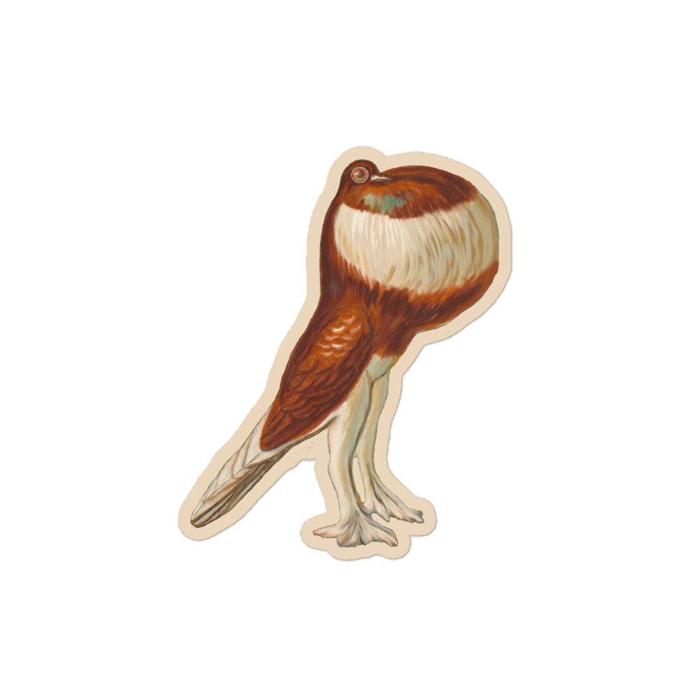 Sticker of a drawing of a pouter pigeon 3 inch by 3 inch in size.