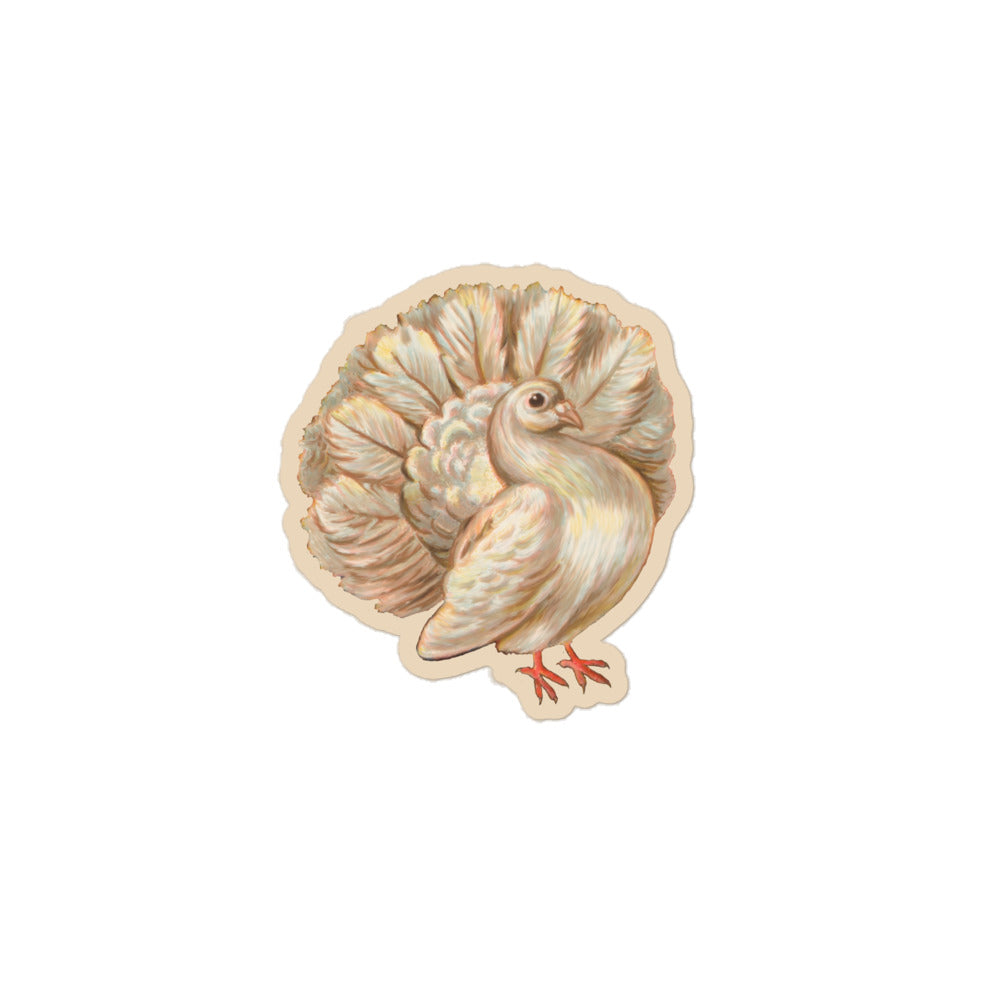 Sticker of a drawing of a fan tail pigeon 3 inch by 3 inch in size.