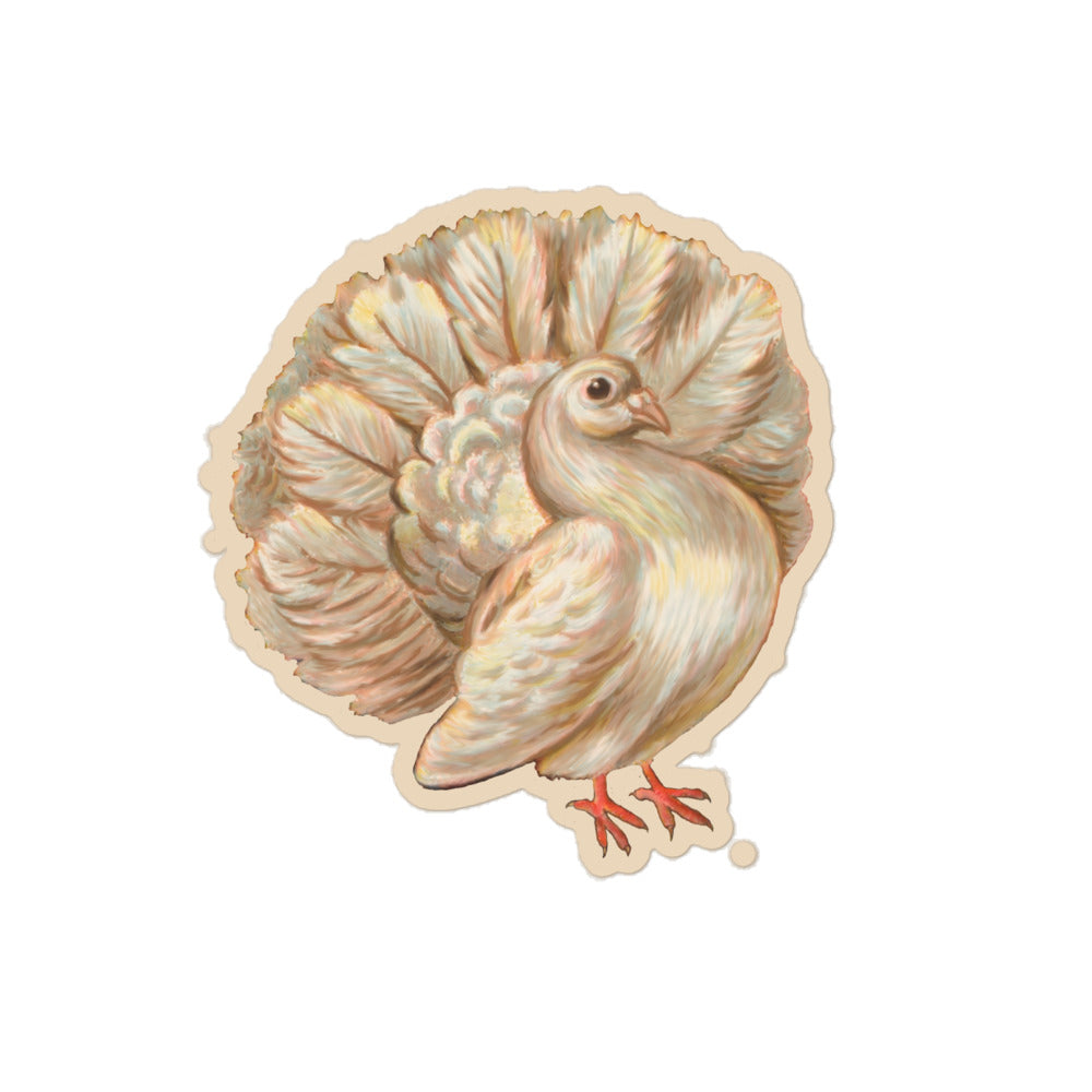 Sticker of a drawing of a fan tail pigeon 5 inch by 5 inch in size.